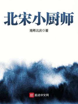 北宋小厨师校对版