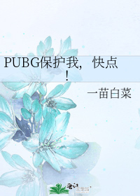 :pubg保护我