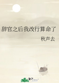 辞官是什么意思