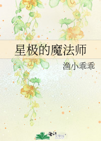 星极的魔法师宝书网