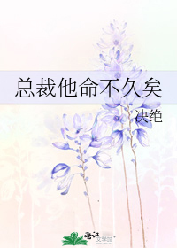 《总裁他命不久矣》决绝