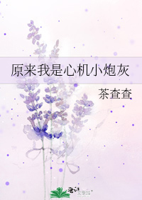 《原来我是心机小炮灰》作者:茶查查