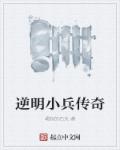 陆鸣主角小说叫什么名字