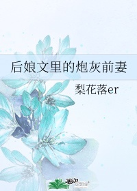 后娘文里的炮灰前妻完结了吗