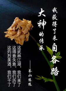 我获得了各路大神的传承