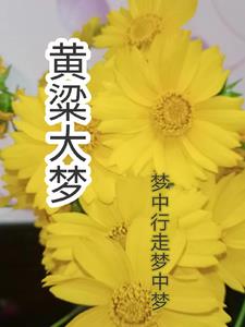 《黄梁梦》