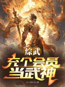 综武：充个会员当武神