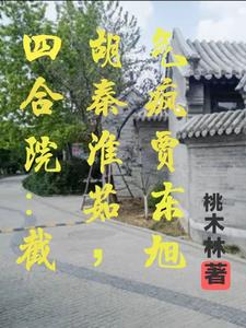 四合院贾梗小说