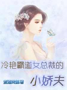 霸道女总裁的小娇夫 娱乐圈 小说