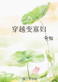 穿越成寡妇带飞全家