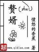 主角叫宁毅的小说叫什么名字