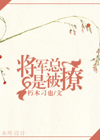 将军总是欺负我